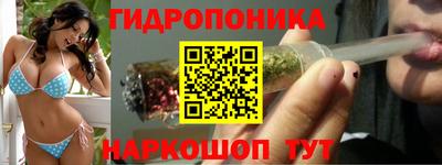 a pvp Канаш