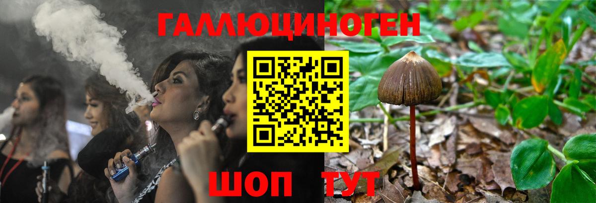 Псилоцибиновые грибы Magic Shrooms  Галлюциногенные грибы Psilocybe  Дальнегорск  Вход с VPN 