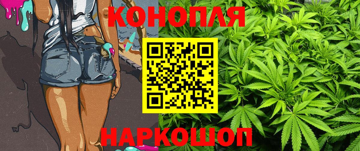 Конопля гибрид Дальнегорск